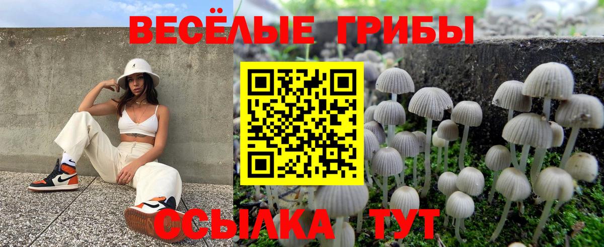 Люберцы  Псилоцибиновые грибы мухоморы  Псилоцибиновые грибы ЛСД  Вход с VPN 